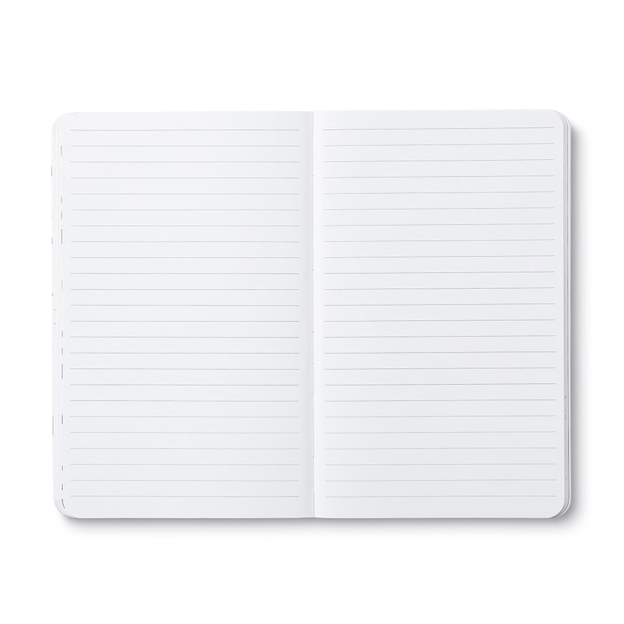 Open journal showing two facing pages of blank ruled lines