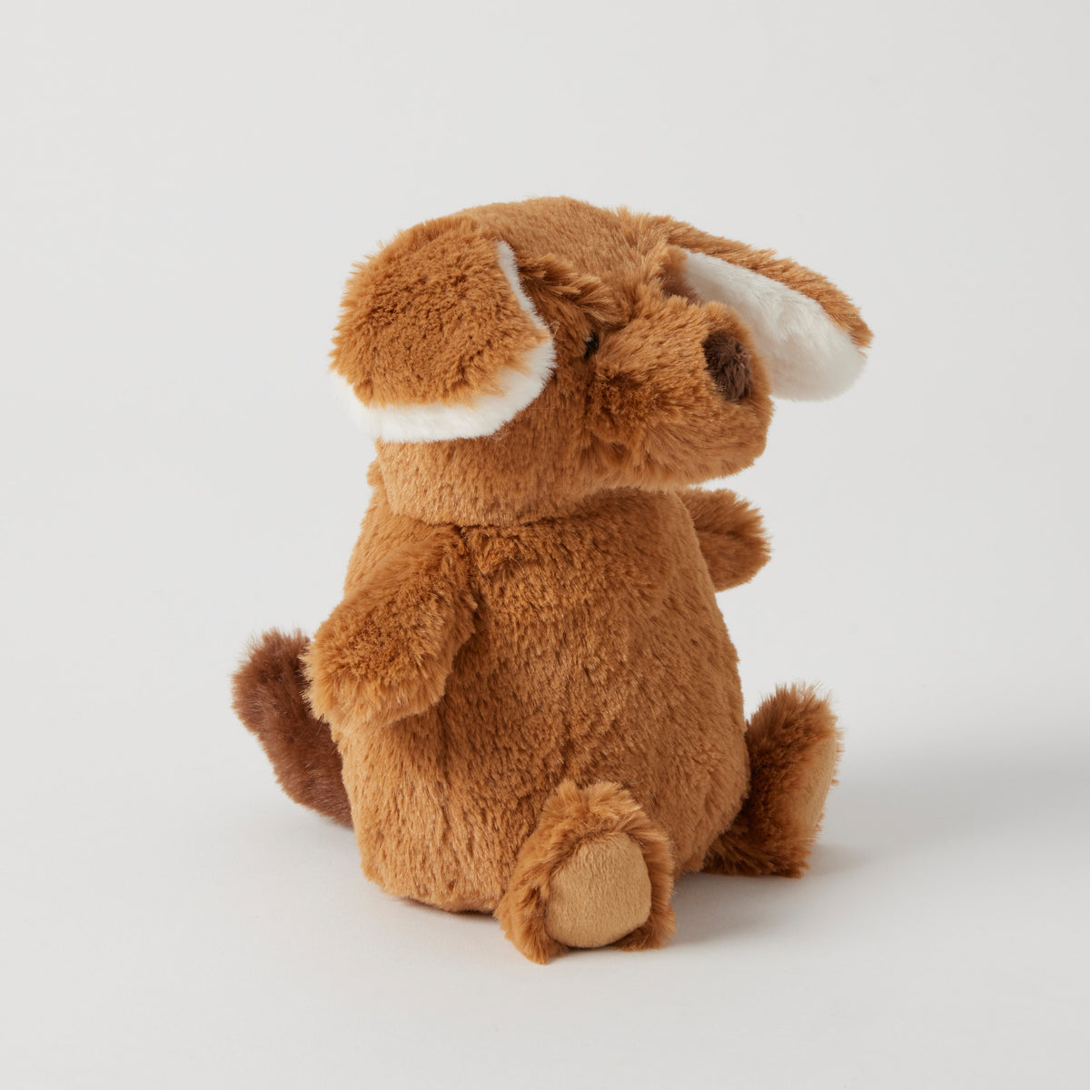 The brown puppy rattle from the side, its ears flopping forward over a round tummy