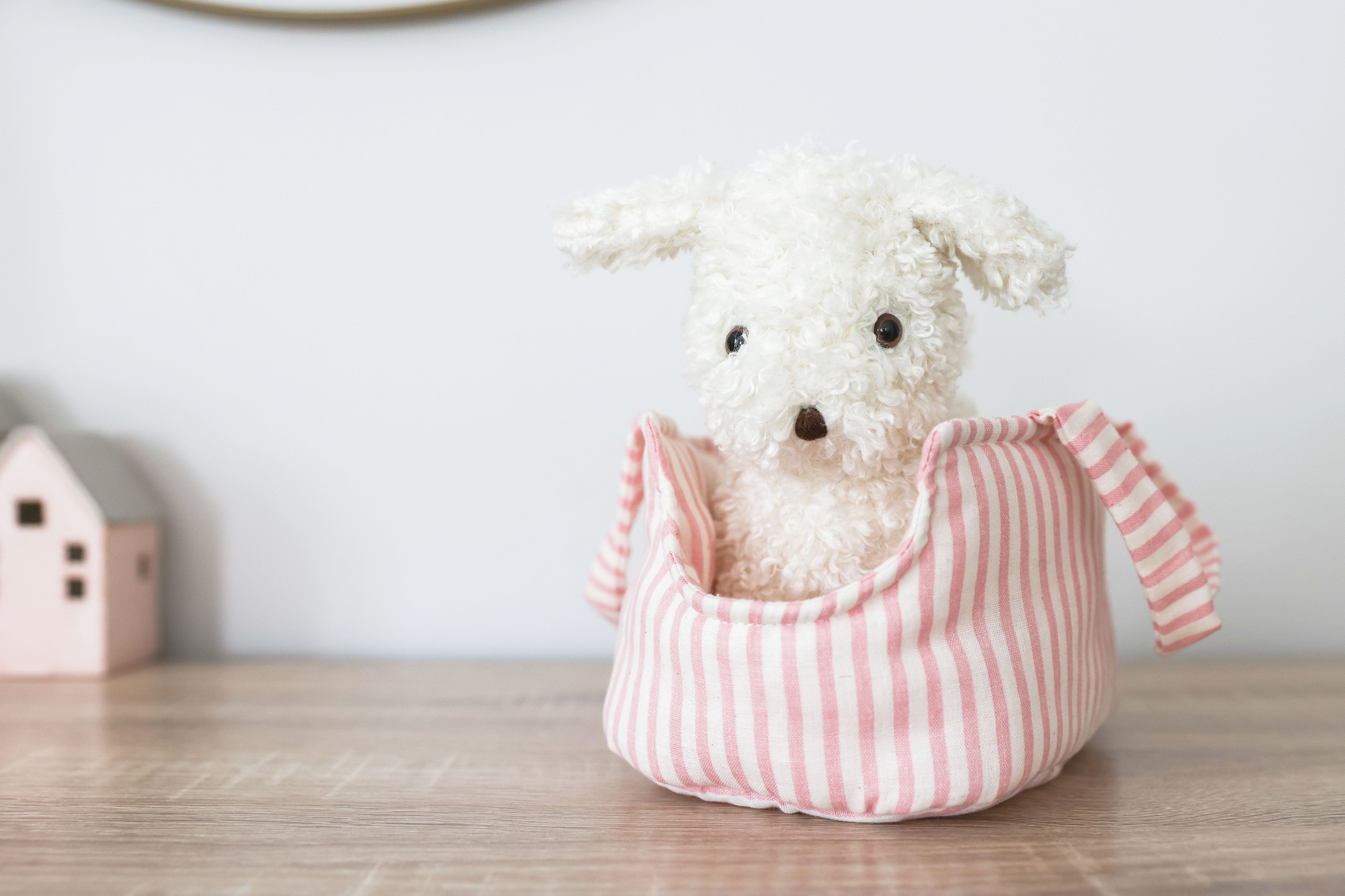 Marshmallow puppy plush in its pink striped carrier on a wooden shelf