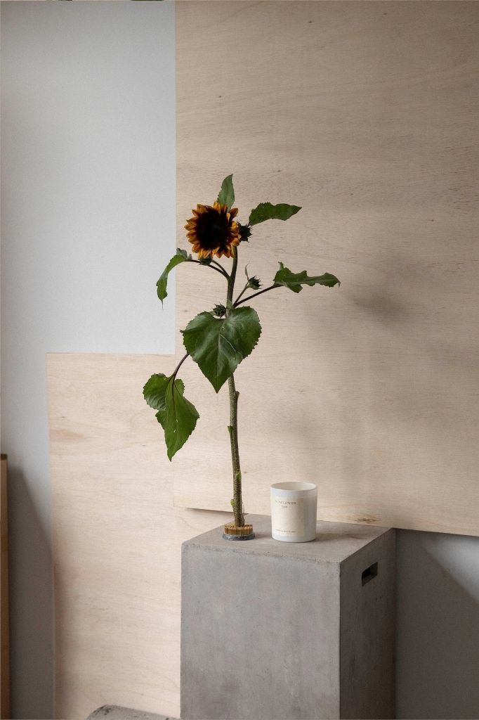 The Sunflower candle on a concrete plinth beneath a single sunflower.