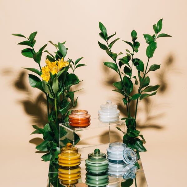 Beam candles in yellow, white, orange and green glass among leafy stems