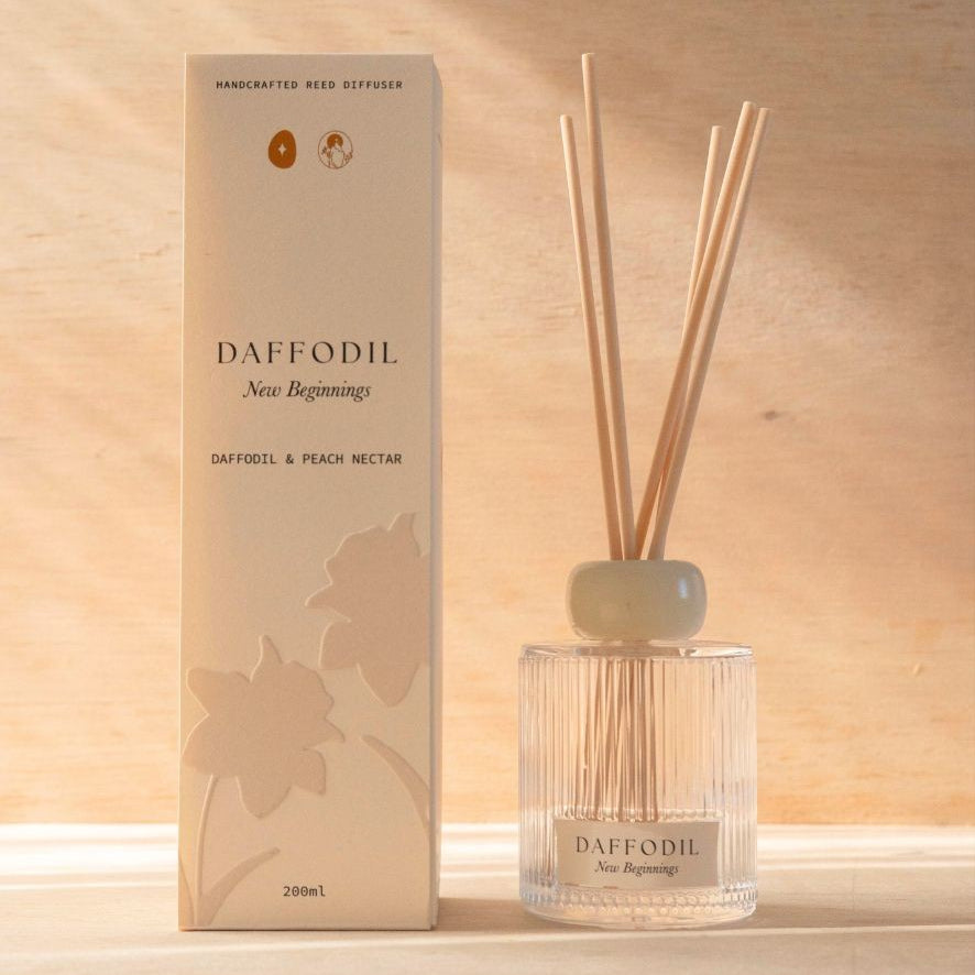 The Daffodil reed diffuser, a ribbed glass bottle with natural reeds, beside its cream box.