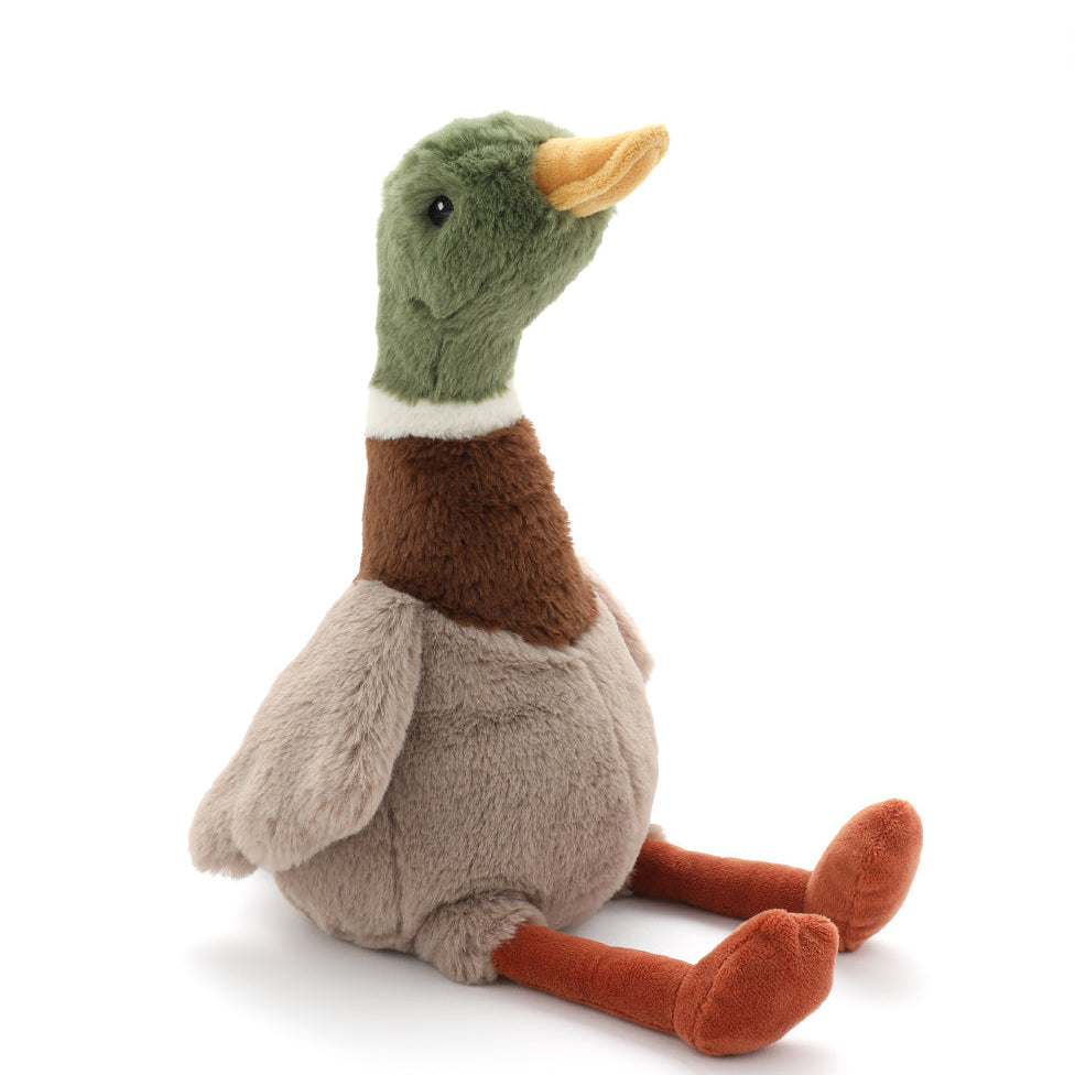 Hugo the Mallard Duck