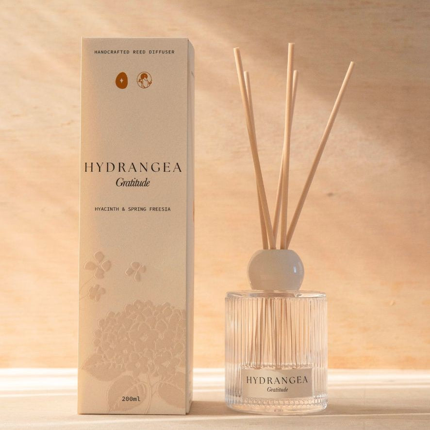 The Hydrangea reed diffuser, a ribbed glass bottle with natural reeds, beside its cream box.