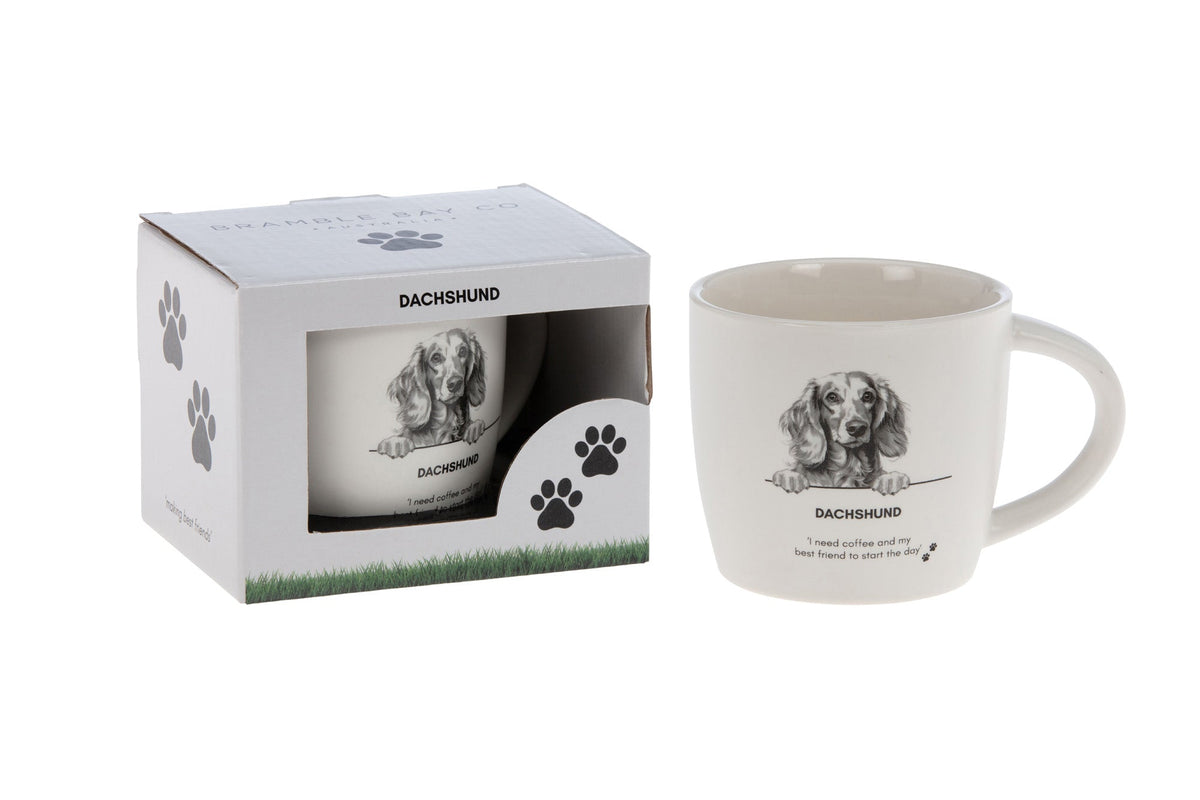 White mug with a sketched dachshund portrait and the words Dachshund and I need coffee and my best friend to start the day, beside its paw-print gift box
