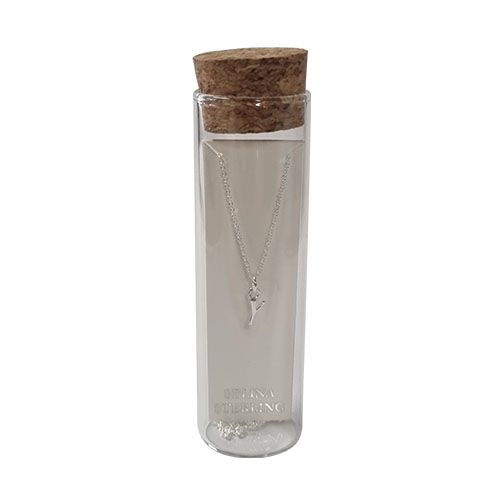 Selina sterling silver letter Y initial necklace in its cork-topped glass gift tube