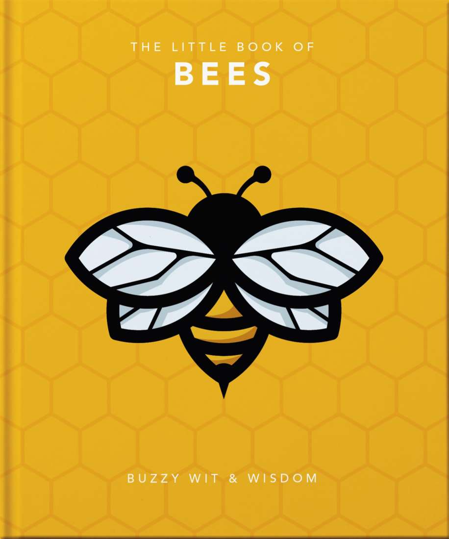 The Little Book of Bees, a honey-yellow hardback with a honeycomb pattern and a large black and white bee