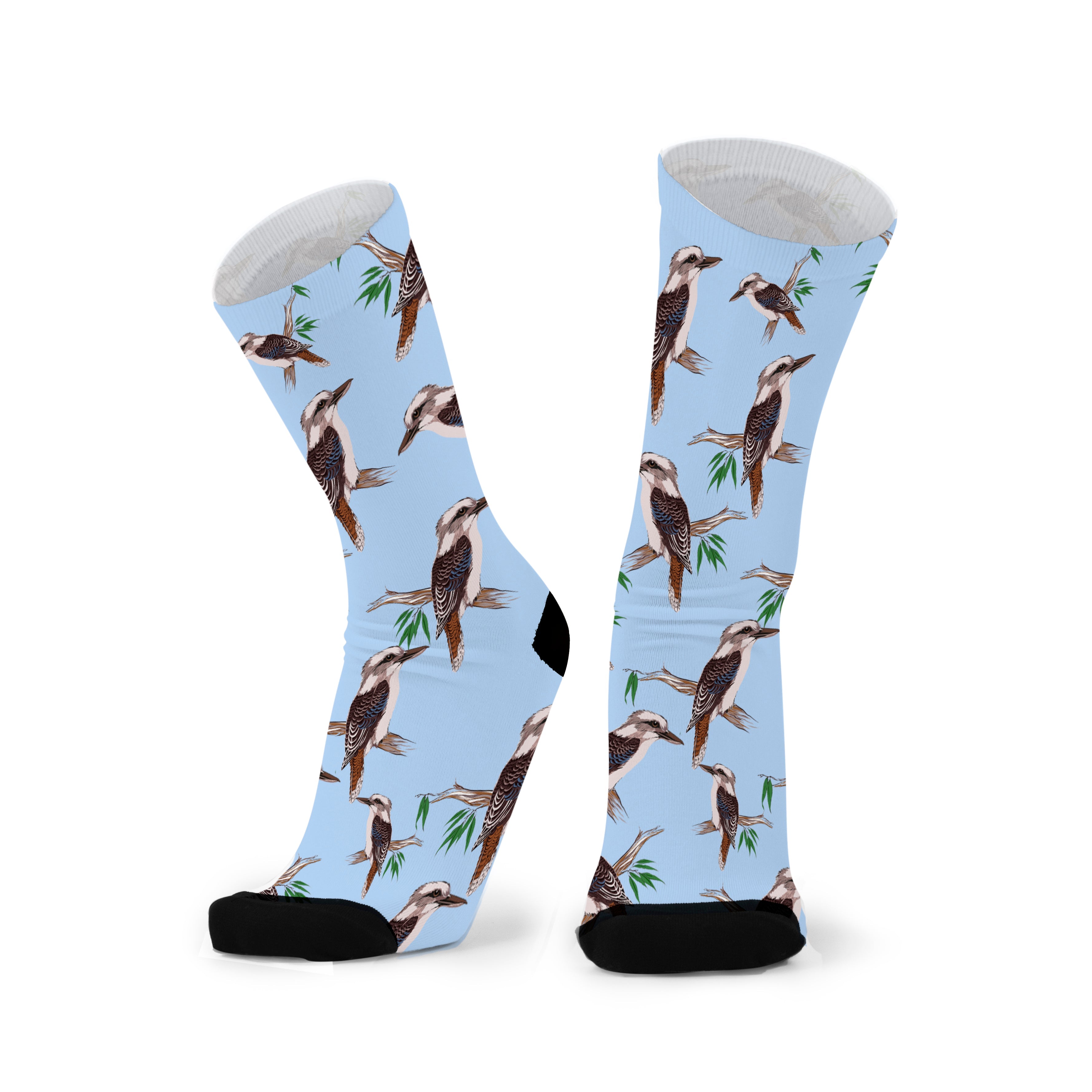 Pair of pale blue socks with black toes, printed with kookaburras perched on gum branches.