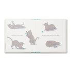 Open spread of grey cats playing with a ball of wool: time to play, time to chase, time to be again