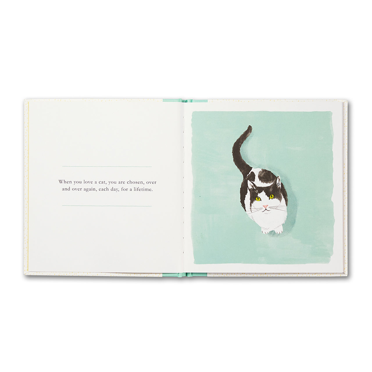 Open spread with a black-and-white cat on mint green: you are chosen, each day, for a lifetime