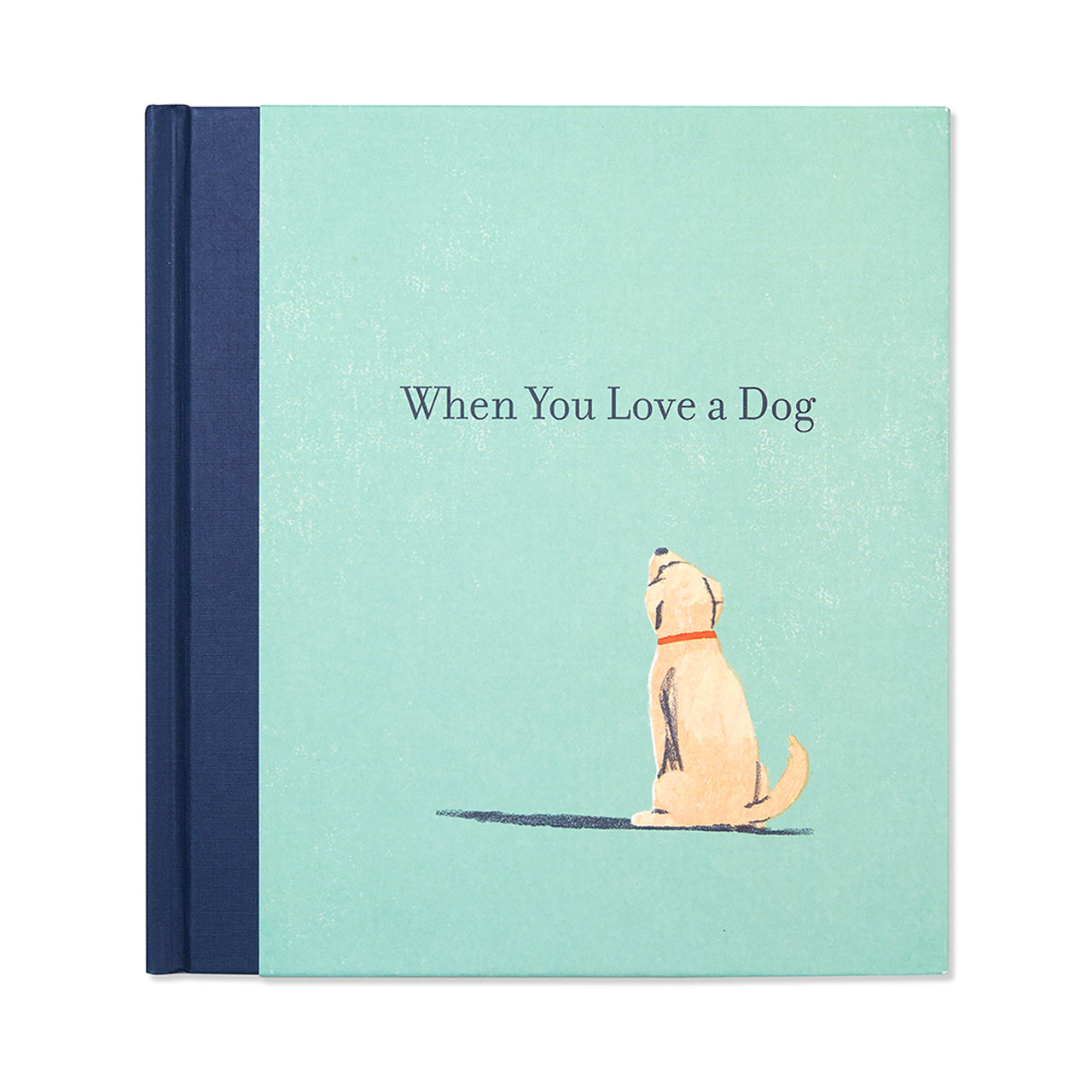 Mint green hardcover with a navy spine and a pale yellow dog sitting, titled When You Love a Dog