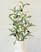 Artificial olive sprays arranged in a cream handled vase against a plaster wall