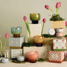 Tulip candles in several colours on stone blocks among fresh pink tulips and moss, with their patterned gift boxes, the Bronzed Gardenia box among them.