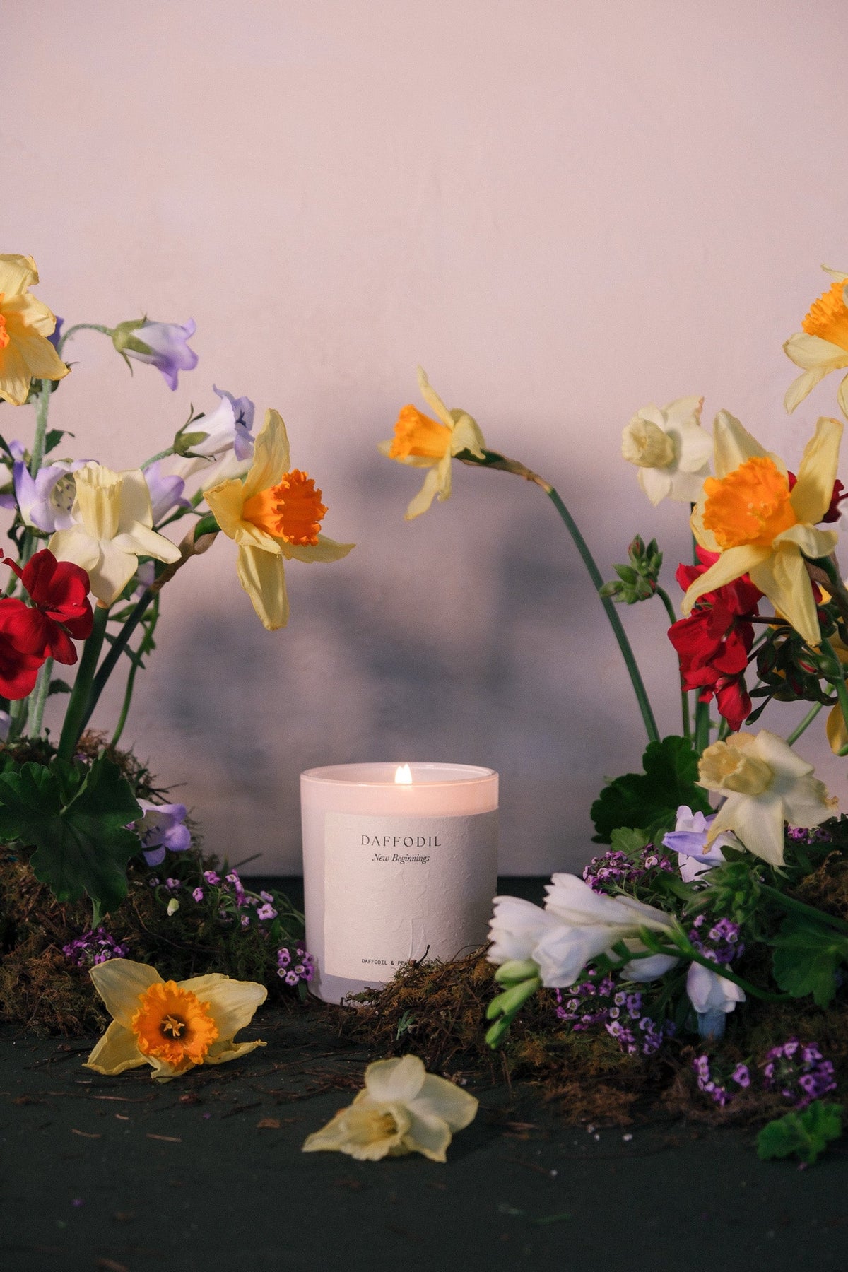 The Daffodil candle among daffodils, red geraniums and spring flowers against a pink wall.