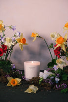 The Daffodil candle among daffodils, red geraniums and spring flowers against a pink wall.