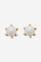 Pair of gold stud earrings, each a small white pearl held in a fine claw setting.