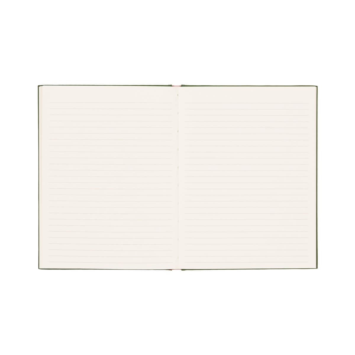 The journal open to its lined ivory pages