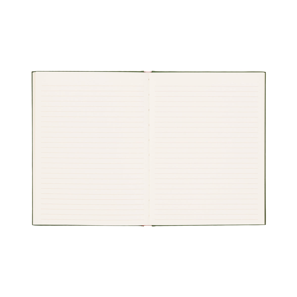 The journal open to its lined ivory pages
