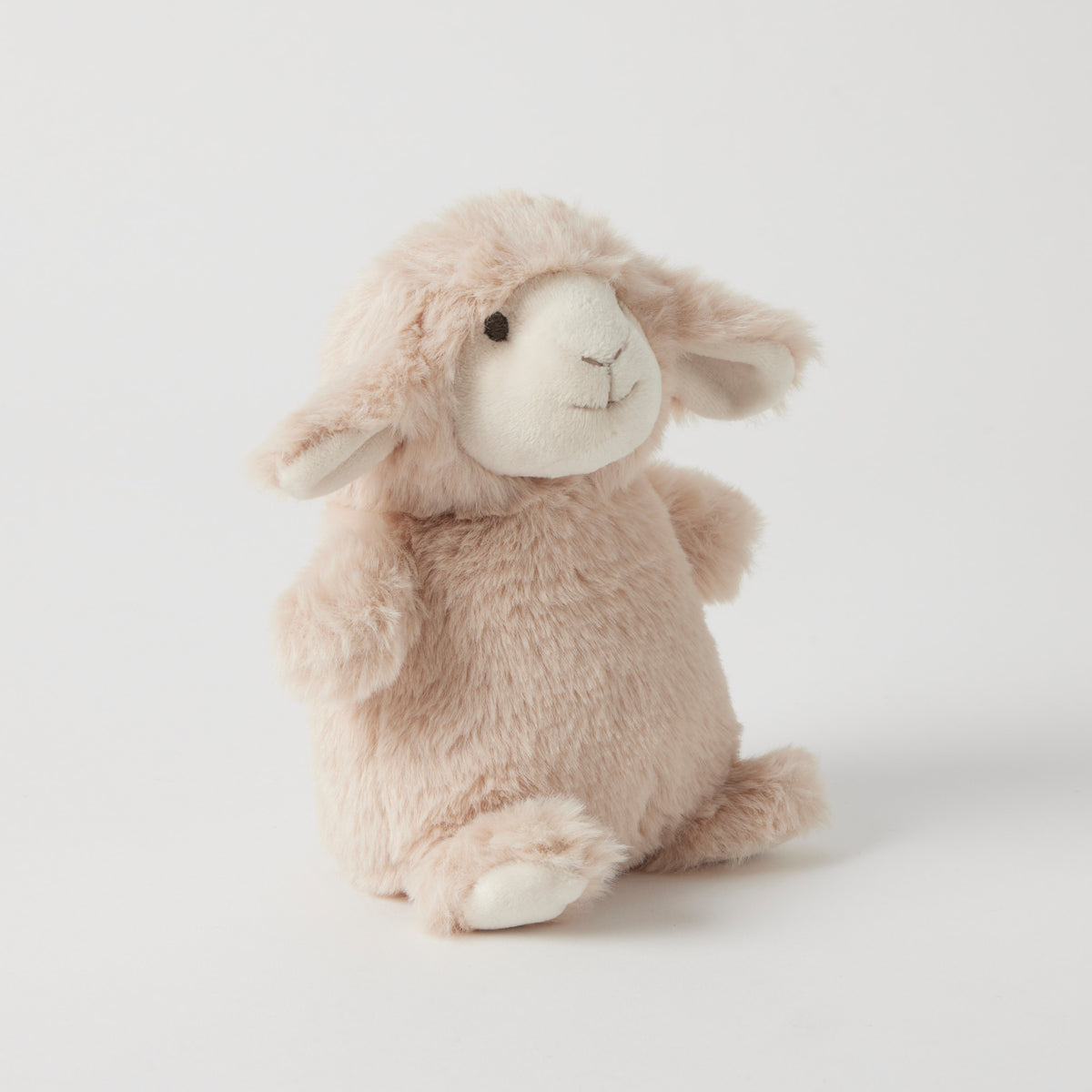 The cream lamb rattle turned to one side, with a fluffy coat and floppy ears