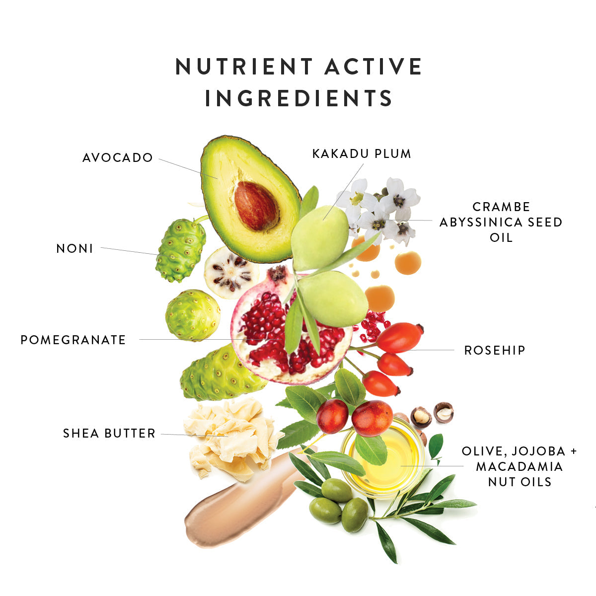 Lük Beautifood Instant Glow Skin Tint in Nude 1 - Fair — key ingredients