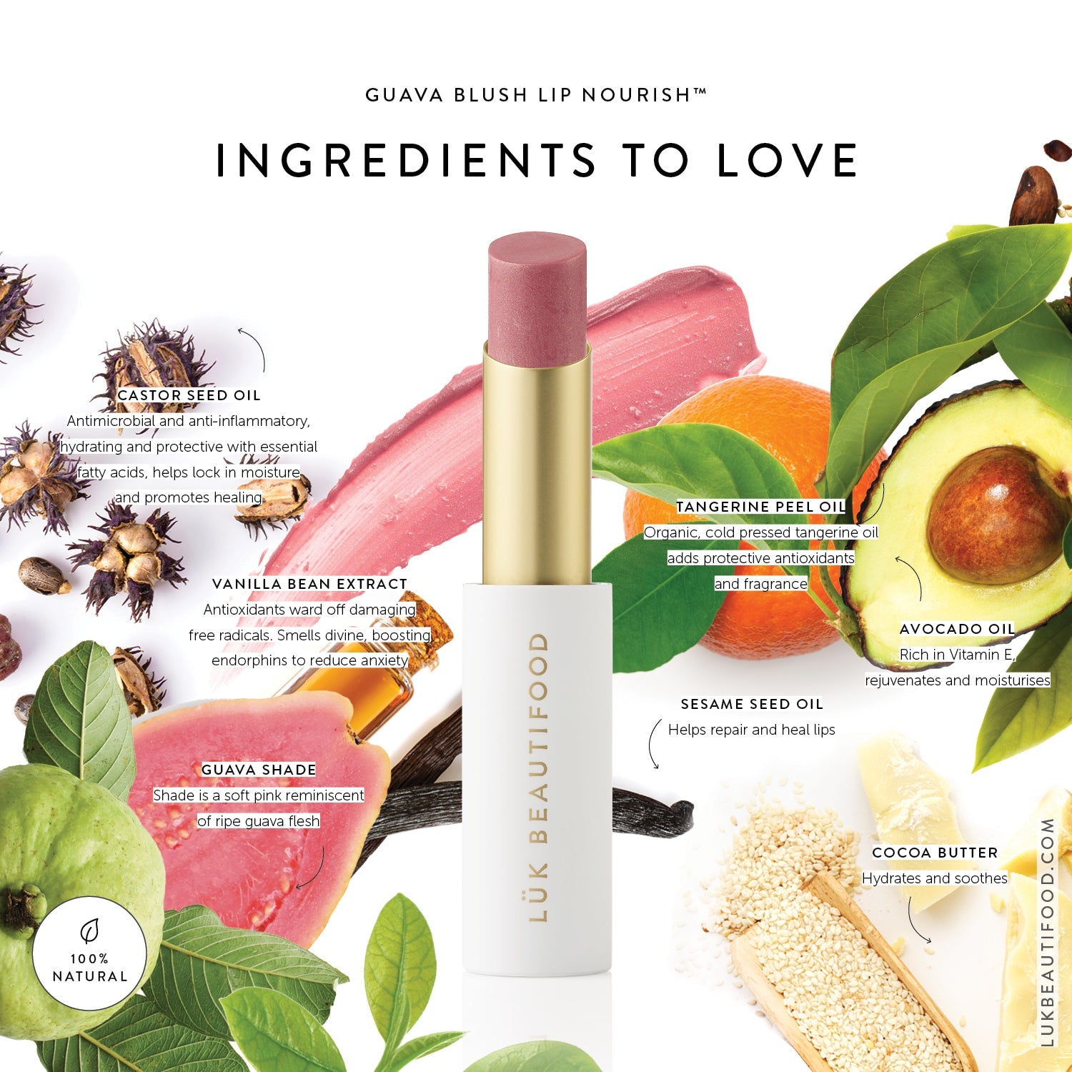 Lük Beautifood Lip Nourish natural lipstick in Guava Blush — key ingredients