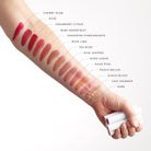 Lük Beautifood Lip Nourish natural lipstick in Chai Shimmer — shade range swatched on skin