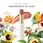 Lük Beautifood Lip Nourish natural lipstick in Peach Melon — key ingredients