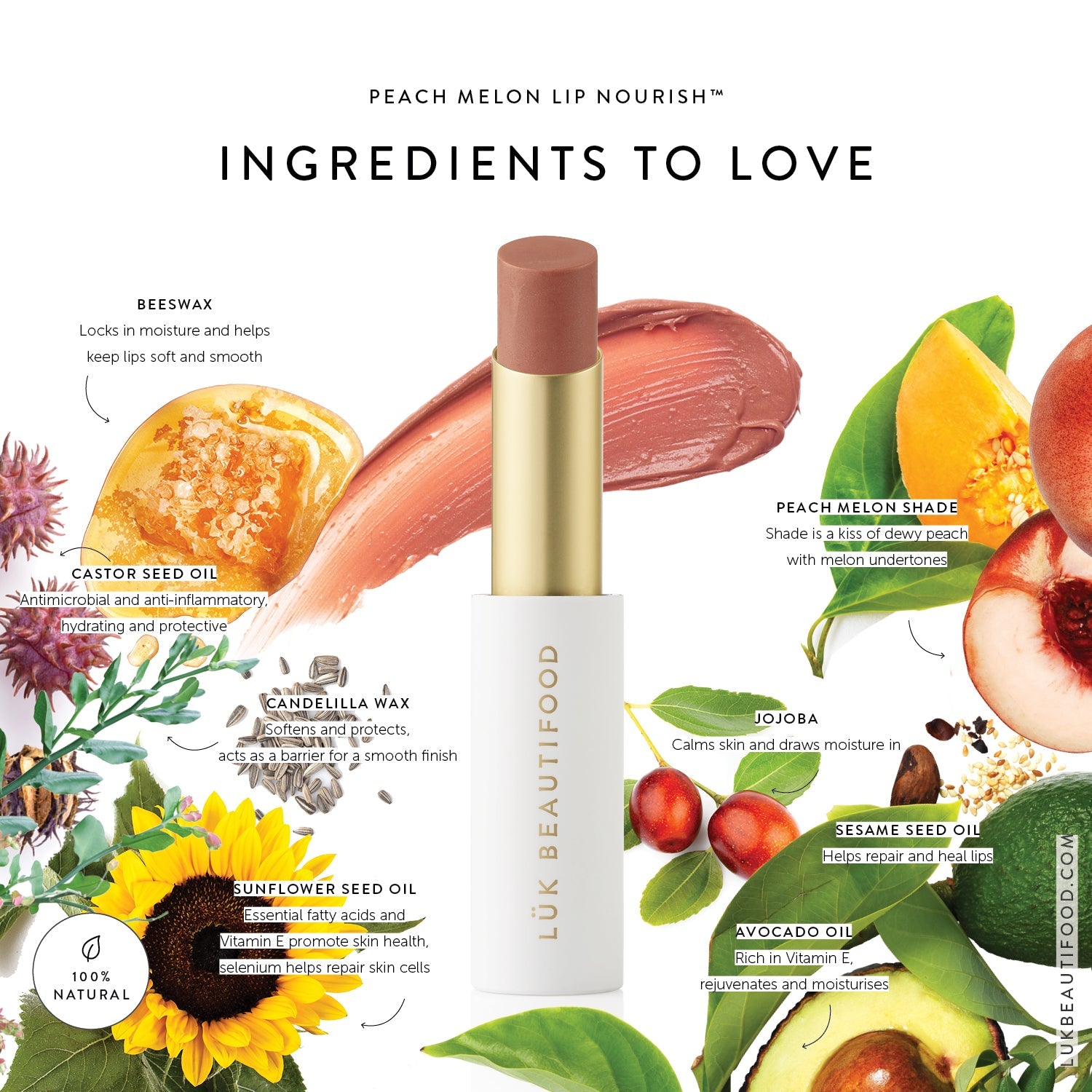 Lük Beautifood Lip Nourish natural lipstick in Peach Melon — key ingredients