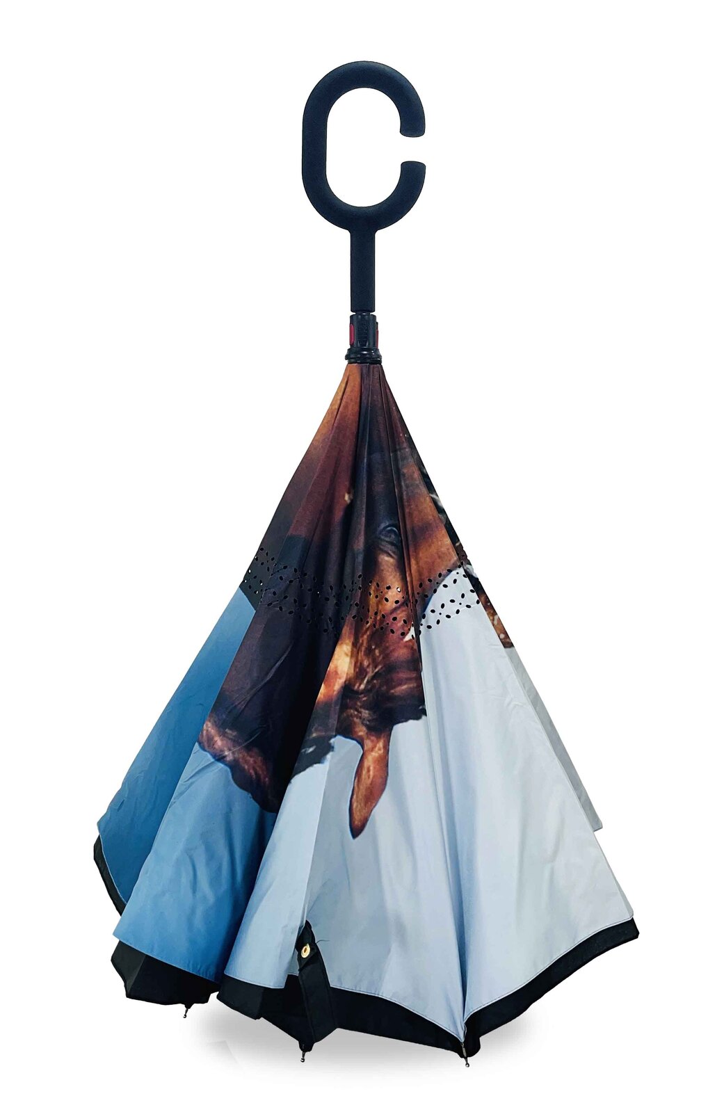 Bay Mare reverse umbrella folded inward and standing on its points, the horse print on the outside
