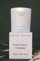 The Daffodil candle standing on its box against a dark green backdrop.