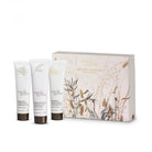Myrtle & Moss Mini Hand Cream Trio box printed with dried grasses, beside three 30 mL tubes: Bergamot, Rose Geranium and Citrus.