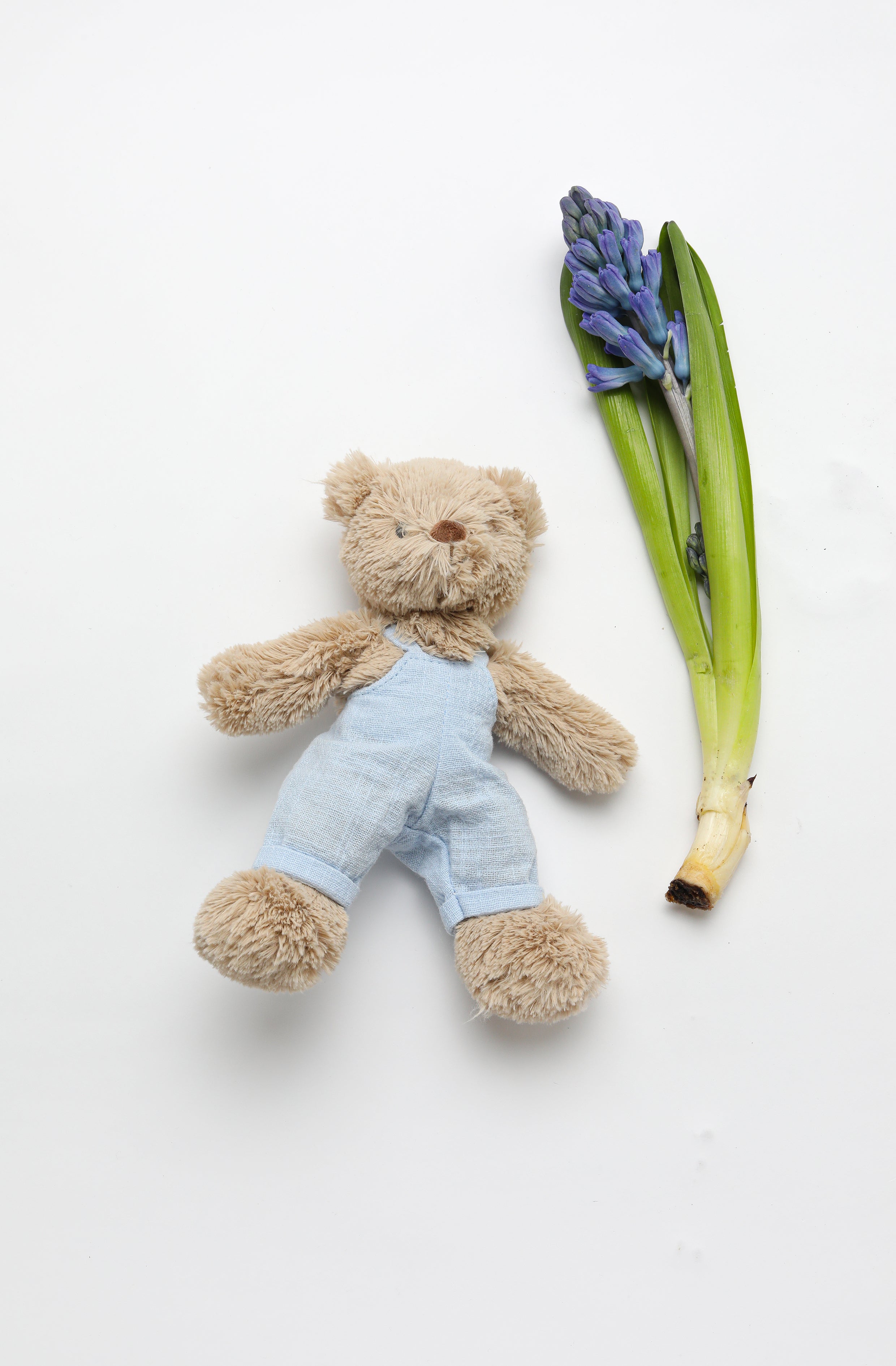 The bear lying on white beside a sprig of blue hyacinth.