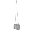 The crystal clutch hanging from its long silver chain
