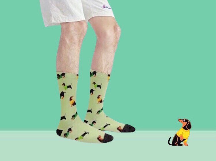 Person's lower legs against a mint green backdrop wearing the lime dachshund socks, with a small toy dachshund on the floor beside them.