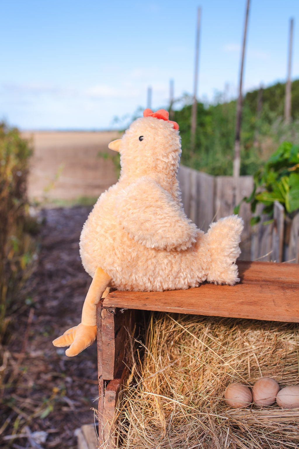 The hen perched on the edge of a wooden crate of straw and eggs, a garden fence behind.