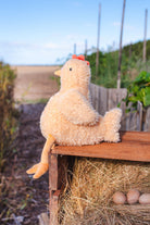 The hen perched on the edge of a wooden crate of straw and eggs, a garden fence behind.