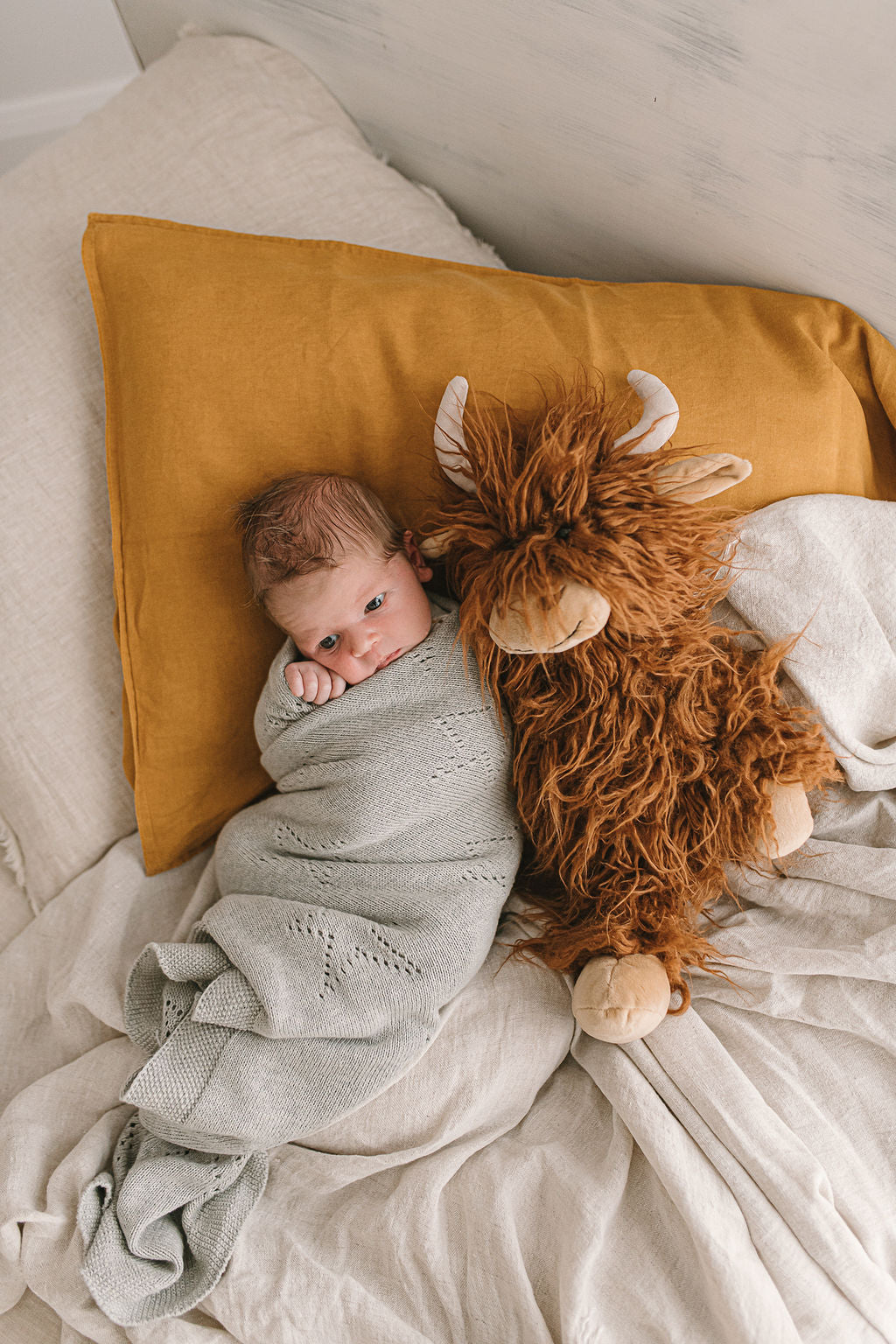 A baby wrapped in a grey blanket lying on a bed, the cow tucked in beside them.