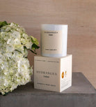 The Hydrangea candle sitting on its box beside white hydrangea blooms.