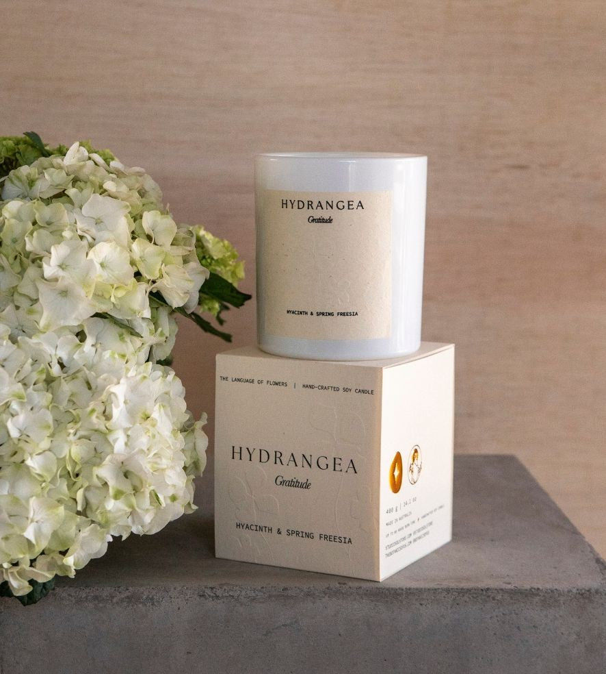 The Hydrangea candle sitting on its box beside white hydrangea blooms.