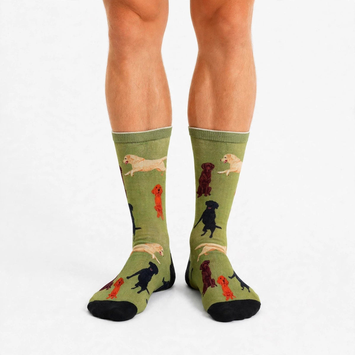 The Labrador socks worn: olive green with black and golden labradors.