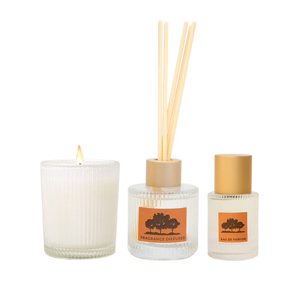 The three pieces in the set: a lit candle in a ribbed glass, a small reed diffuser and a small eau de parfum bottle, the diffuser and perfume with orange Rangelands labels