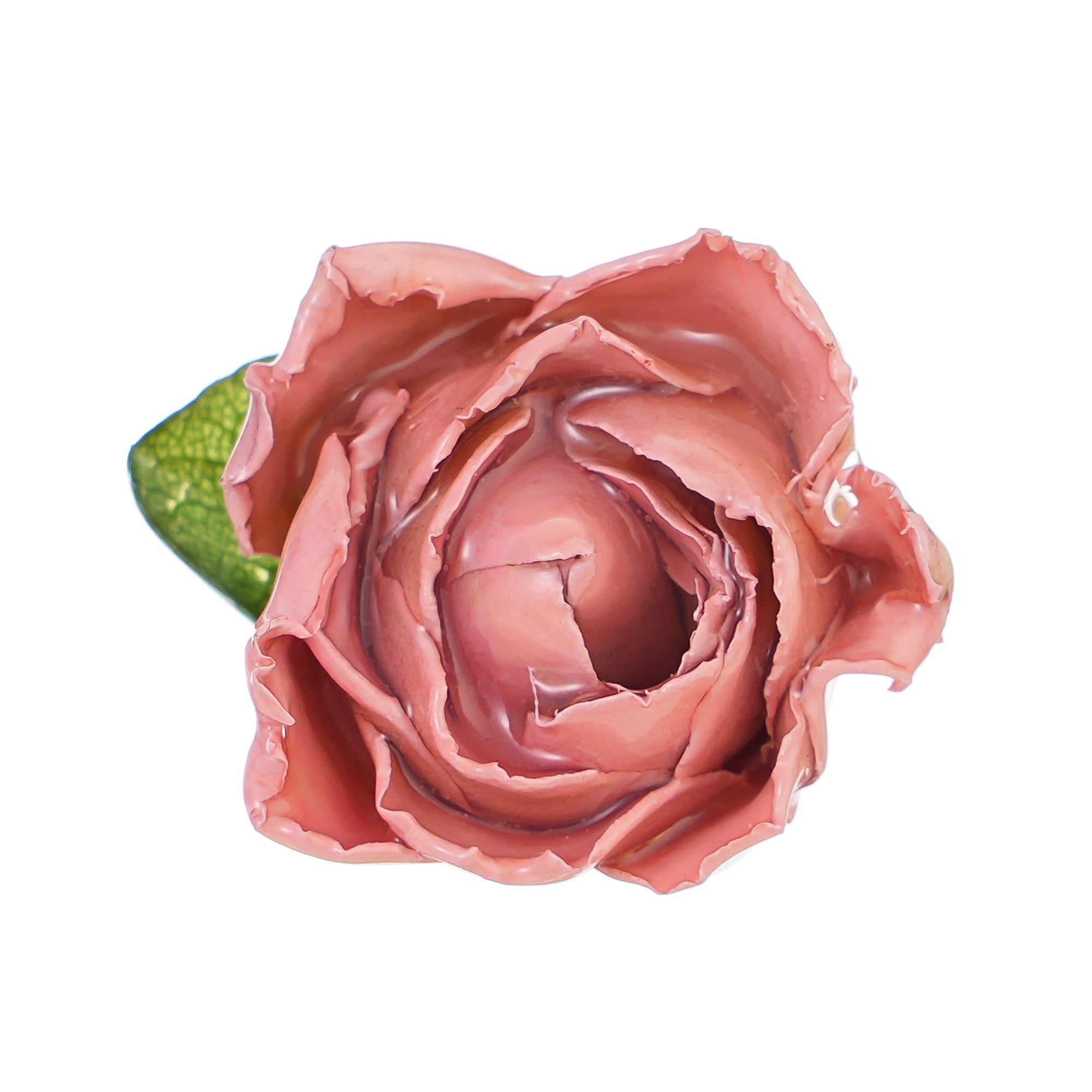 Close-up of the light pink rose with a green leaf