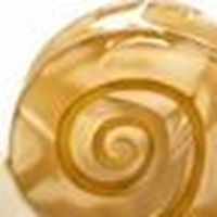 Swatch: Caramel snail hair clip