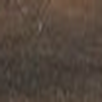 Colour swatch: Tortoiseshell resin