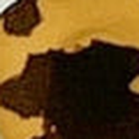 Colour swatch: honey tortoise shell