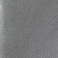 Colour swatch: Metallic Silver